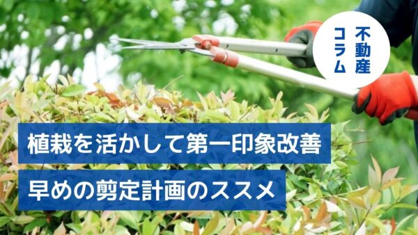 植栽を活かして第一印象改善　早めの剪定計画のススメ