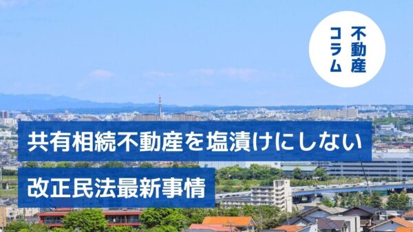 貸せる！ 直せる！ 売却できる！共有相続不動産を塩漬けにしない改正民法最新事情