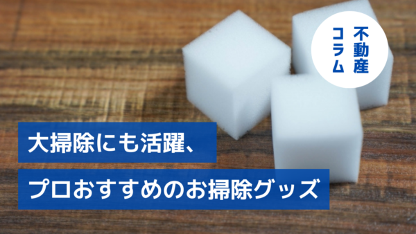 大掃除にも活躍、プロおすすめのお掃除グッズ