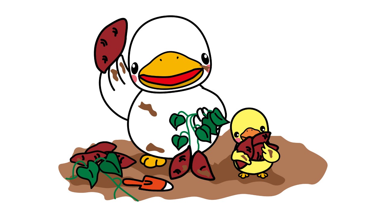 社員研修による臨時休業のお知らせ (2025年10月21日火曜日)