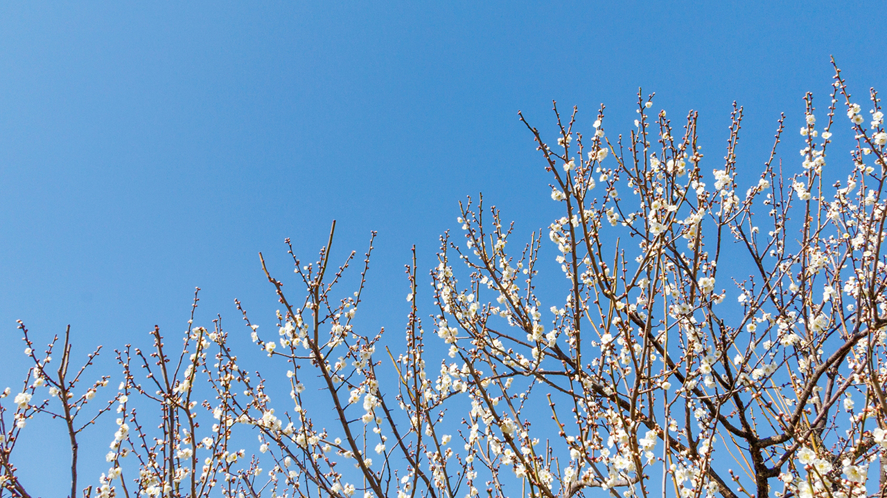 2026年　年頭のご挨拶