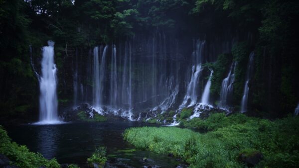 自然に触れる体験