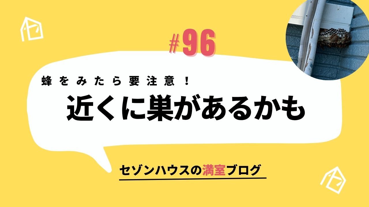 蜂を見かけたら注意